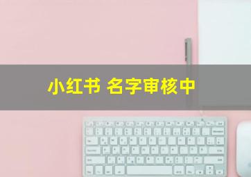 小红书 名字审核中